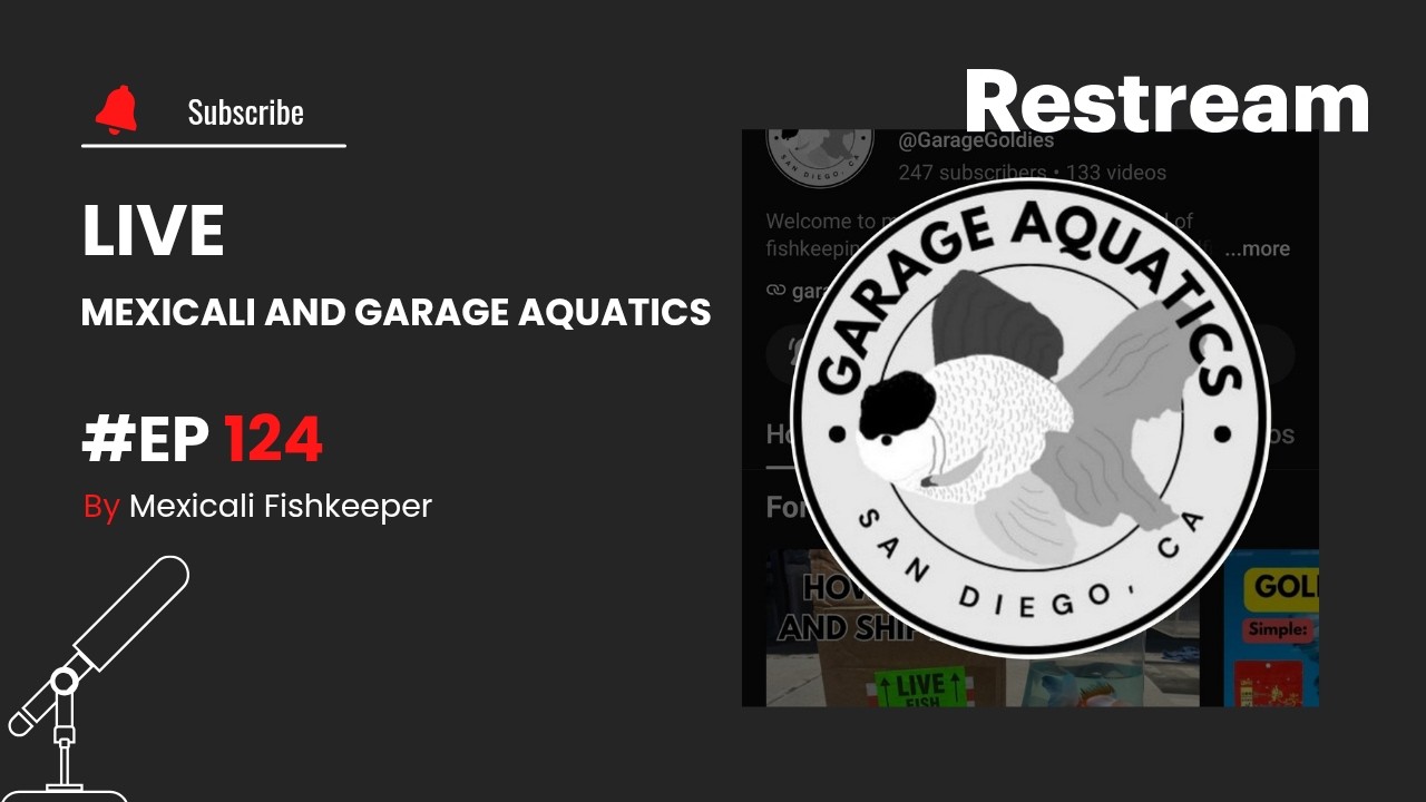 Ep 124 Mexicali and Garage Aquatics