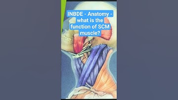 INBDE - Anatomy - what is the function of SCM muscle?