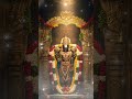 Tirupati Balaji Darshan Bangalore Devotees | ಬೆಂಗಳೂರು | बेंगलुरु भक्त