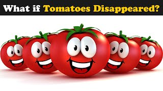 What if Tomatoes Disappeared? + more videos | #aumsum #kids #science #education #children