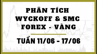 ✅ Phân Tích FOREX - VÀNG Tuần 11-17/06 Theo Phương Pháp WYCKOFF & SMC | TraderViet