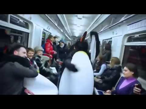 Pessoas Vestidas de Penguins Invadem Metrô e Fazem a Farra curiosidades de cuba