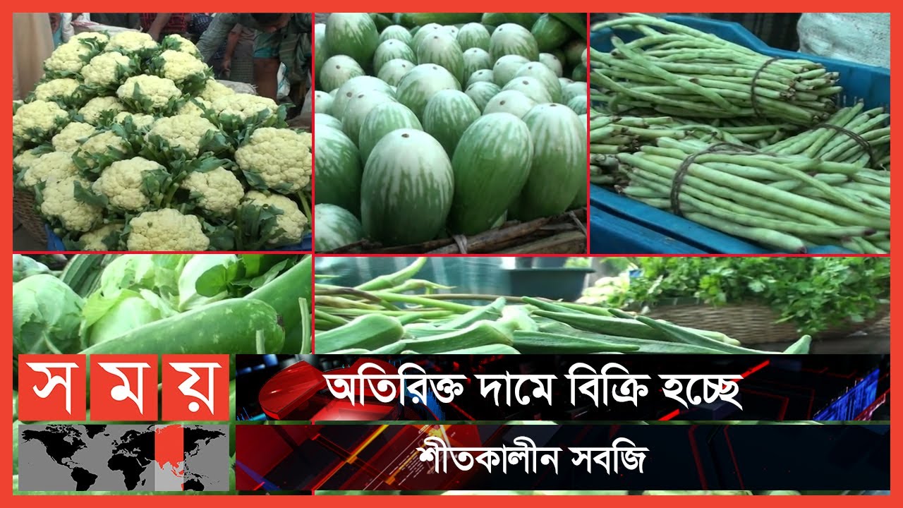 নাটোরে সবজির দাম ভালো পাওয়ায় খুশি কৃষকরা | Vegetable Market | Natore Bazar | Somoy TV