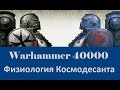 Warhammer 40000 Физиология Космодесанта