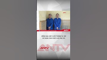 Đồng Nai: Bắt 5 đối tượng tụ tập sử dụng trái phép chất ma túy #shorts