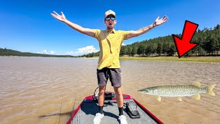 On The Hunt For BIG Toothy Fish In Murky Shallow Water