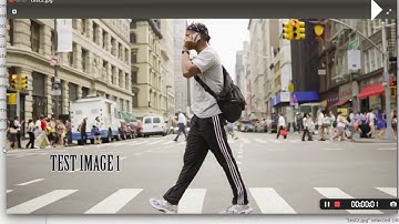 SUMMER INTERNSHIP 2018: Pedestrian Detection using YOLO version 3