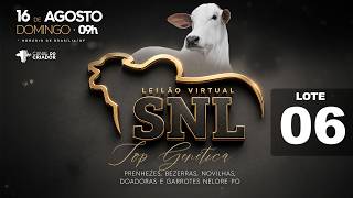 LOTE 06 SNL 2785