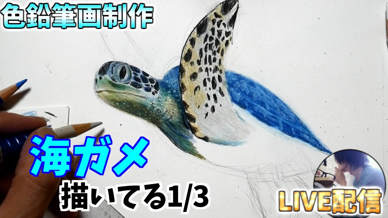色鉛筆画制作LIVE 海ガメを描く（前編） - YouTube