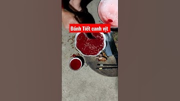 đánh tiết canh vịt hãm mắm đơn giản xiêu ngọt (dũng vlog)