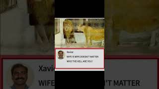 Even King Of Jungle Knows The Rules 😂🦁#memes