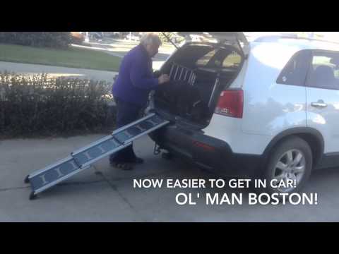 4Pets Proline & Easy Step Ramp