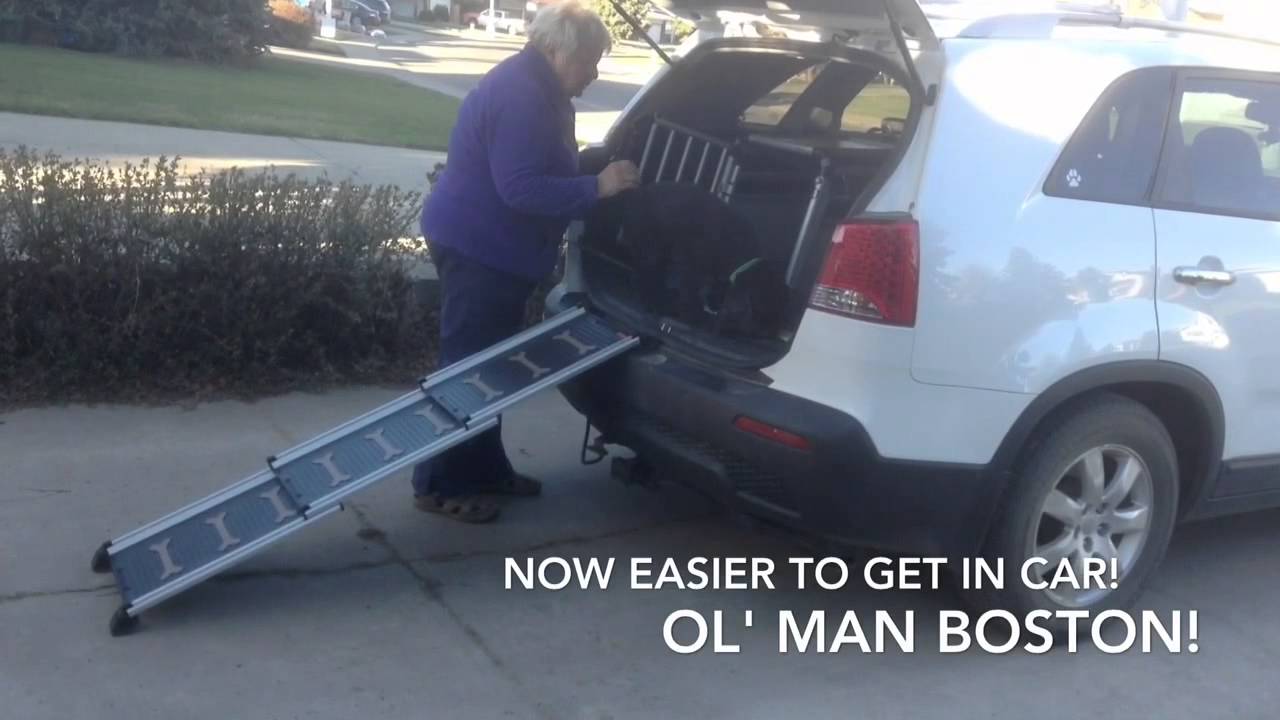 4Pets Proline & Easy Step Ramp YouTube