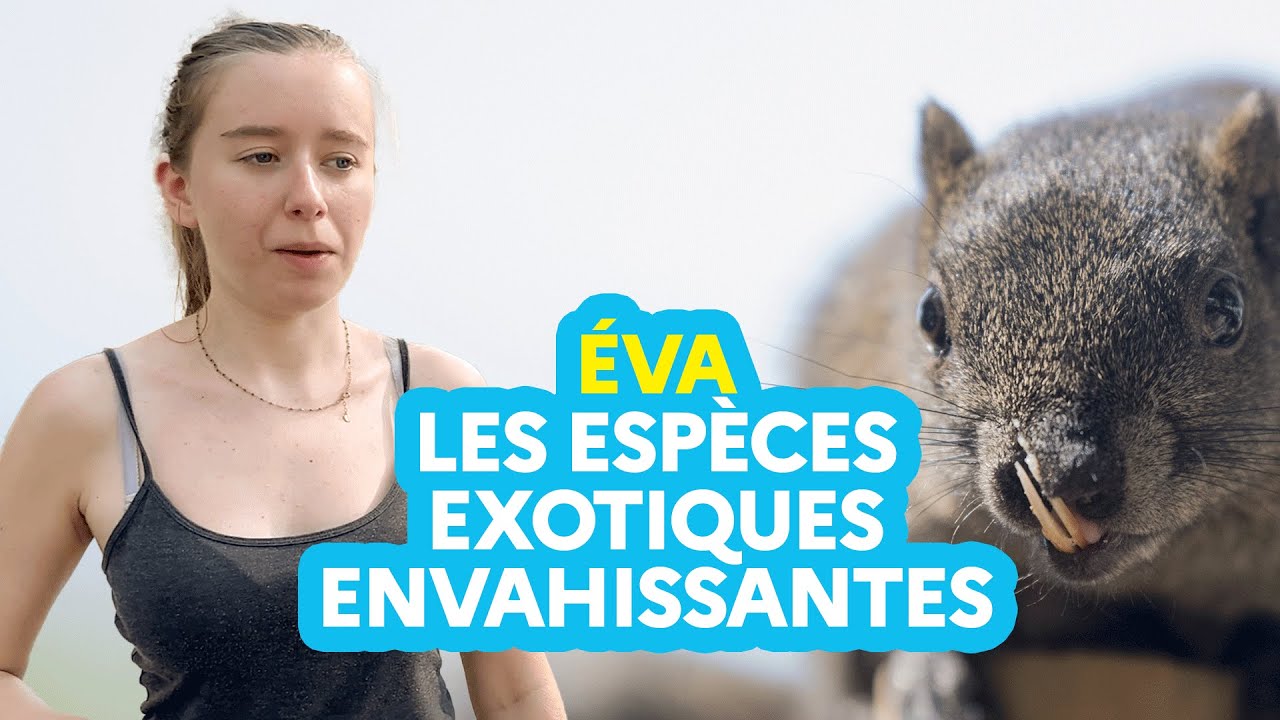 Des espèces exotiques très envahissantes