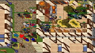 TIBIA WAR O1 DEATH LINE x IRMADA (EK 700 DOWN)