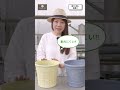 【実は1番重要】夏の寄せ植え管理が楽になる!鉢選びのコツ