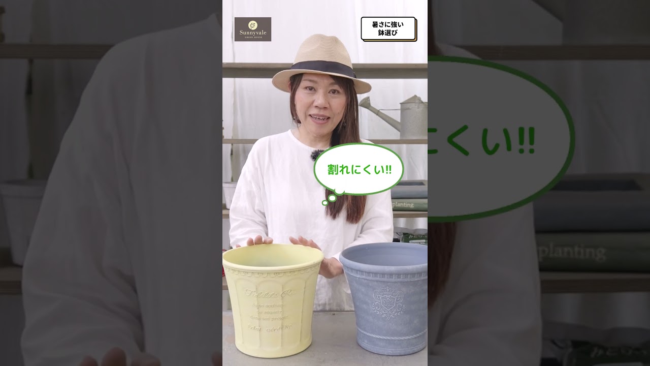 【実は1番重要】夏の寄せ植え管理が楽になる!鉢選びのコツ