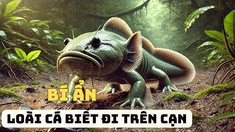 Loài Cá Biết Đi Trên Cạn- Khám Phá Bí Ẩn Sinh Vật Kì Quái