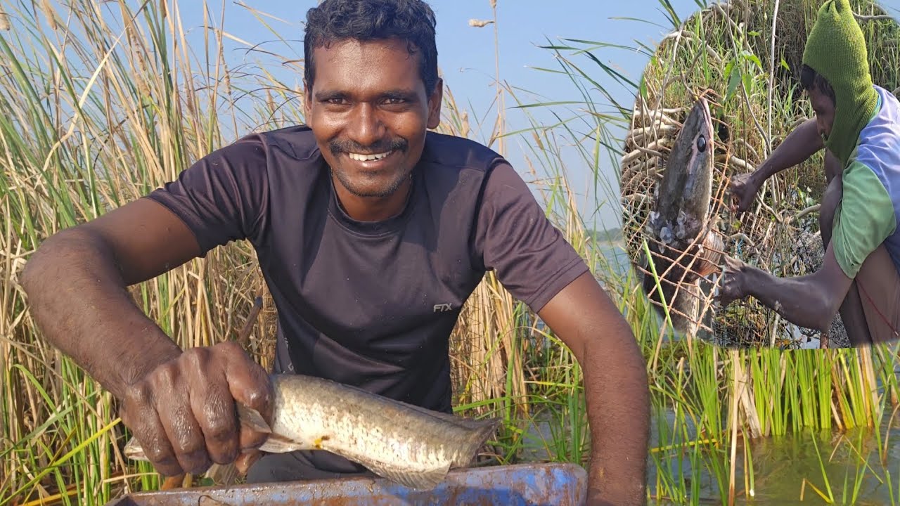 ఈరోజు చేపల వేట ఎంత తమాషాగా జరిగిందో మీరే చూడండి || Village natural fishing video 