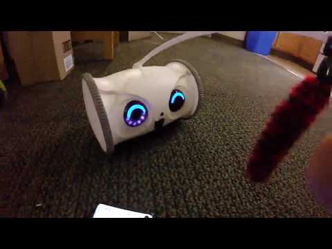 SKYMEE Owl Robot Mobile Full HD Pet Camera Review, Is