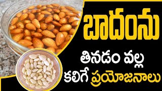 Badam Health Benefits Almonds Health Benefits In Telugu Eagle Media Works