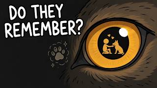 Do Wild Animals Remember the Humans Who Saved Them?