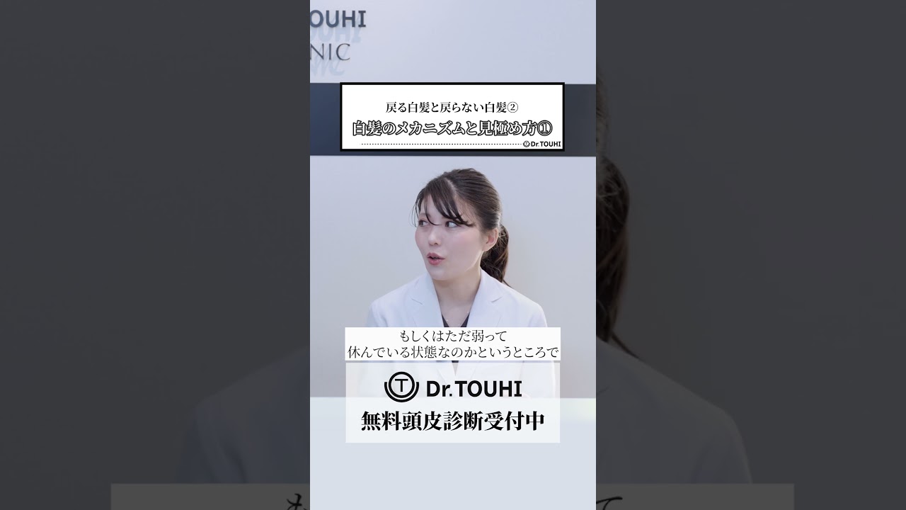戻る白髪と戻らない白髪② 白髪のメカニズムと見極め方①