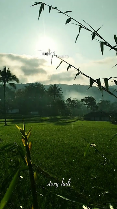 selamat pagi pejuang rupiah #shortvideo #pejuanghidup #masukberanda #storykuli#subscribe