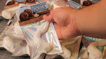 I made a COLLECTABLE figure from my MONSTER BASH II creature | and you can get one