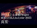 ザ・シスターズハイ - 真里 @心斎橋Pangea 2023.2.2
