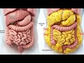 Fasting Science: शरीर की पुरानी गंदगी कैसे साफ करें? | Autophagy Explained in Hindi