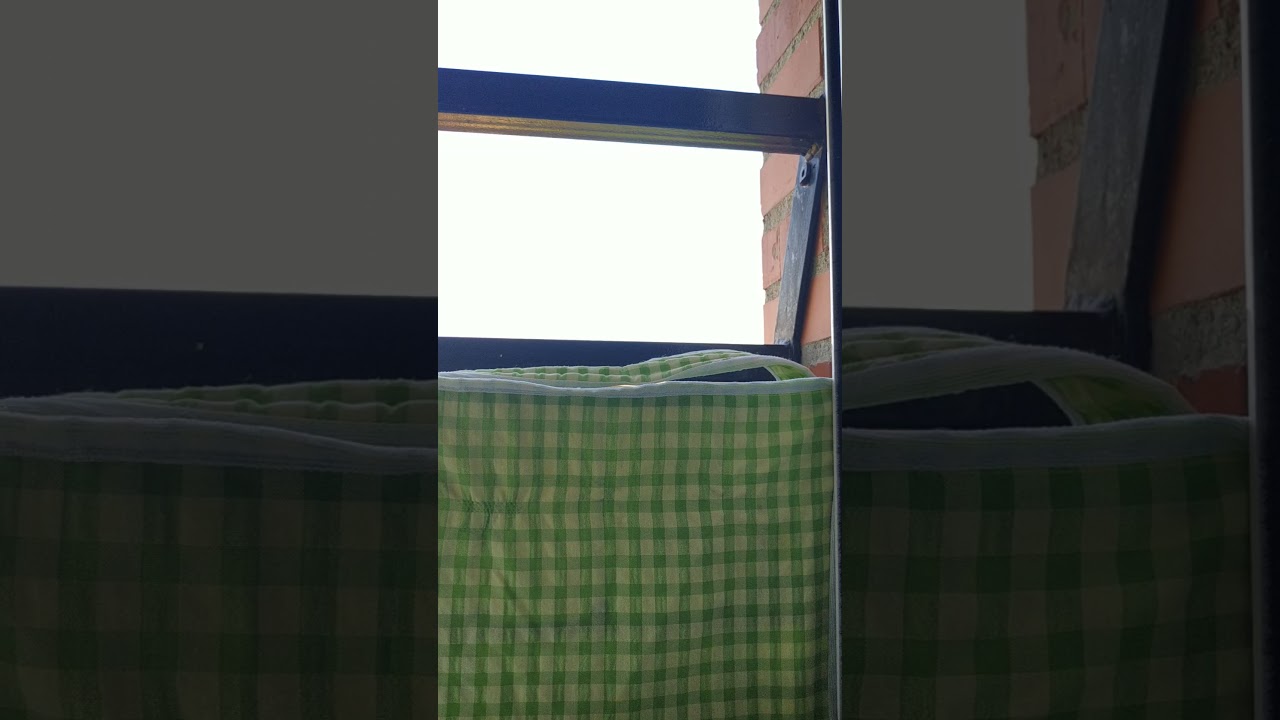 novel de verderon empezando a alargar y haciendo algunas tocadas bonitas