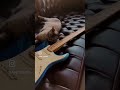 Gatotraster blue 🥶🐱 #fender #cat #fendercobrablue #fenderultra #fenderusa #short #guitarshorts