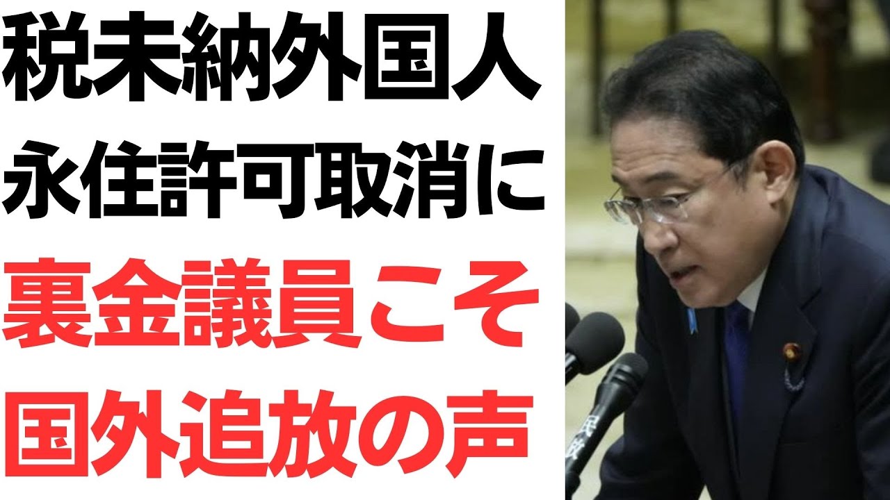 外国人の税未納と永住許可取消制度をめぐる議論を扱う動画のサムネイル