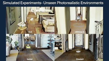 X-Nav: Learning End-to-End Cross-Embodiment Navigation for Mobile Robots