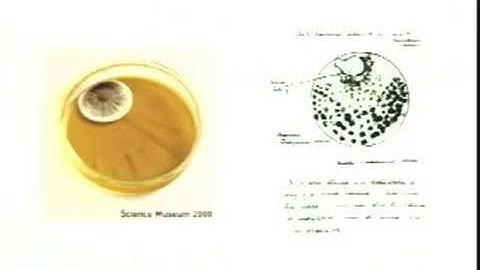 Lecture 14. Darwin and the Origin of Species I (Biology 1B, Fall 2010, UC Berkeley)