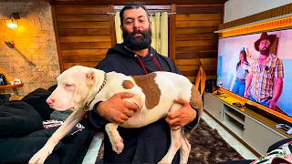 GANHEI UM AMERICAN BULLY XXL GIGANTE DE UM AMIGO!