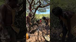 Hadzabe Tribe live ancient lifestyle in the forest