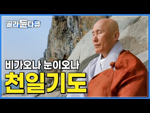 무인도에서 나라의 평안을 위해 천일 기도하는 &amp;#<strong>39</strong>;성각스님&amp;#<strong>39</strong>;│73세에 매일 거친 산길을 <strong>올라</strong> 절벽 끝으로 향한다│고려시대 남해에서 가장 높은 산에 세워진 망운사│한국기행│