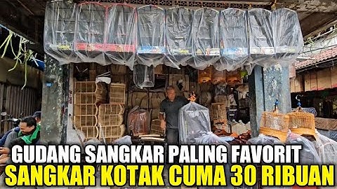 TERNYATA DISINI GUDANG SANGKAR MURAH PALING FAVORIT CUMA 30 RIBUAN DIKIOS PASAR BURUNG PRAMUKA