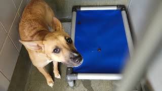 acs A664722