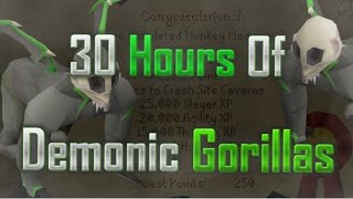 Killing Demonic Gorillas - For 30 Hours