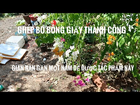 Video kỹ thuật ghép bo bông giấy giấy 5 màu sống tuyệt đối - youtube