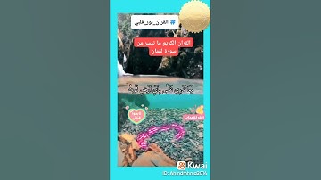 @SaudiQuranTv القرآن الكريم ما تيسر من سورة لقمان
