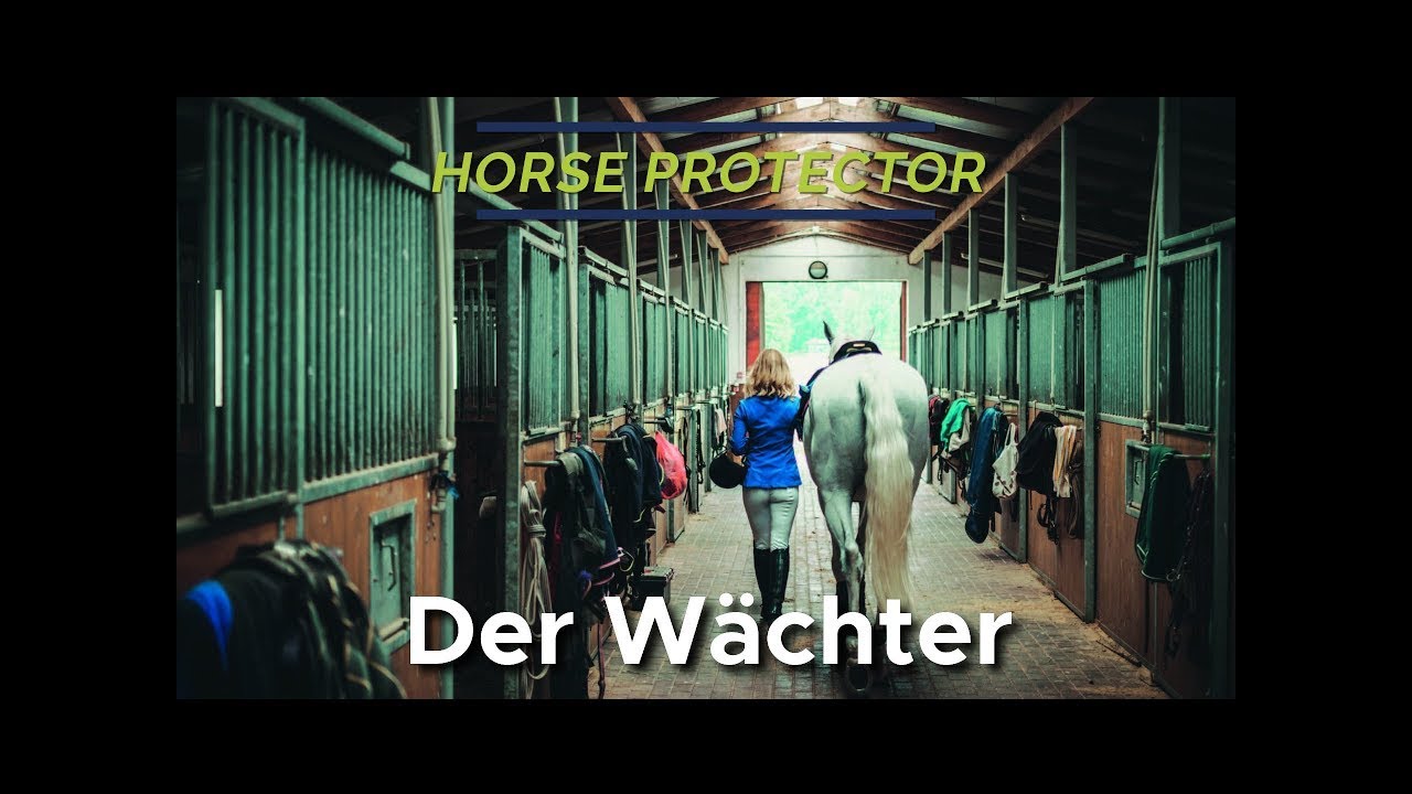 ACARiS HORSE PROTECTOR ImageFilm YouTube