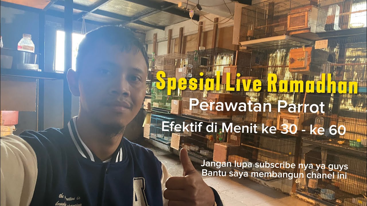 Ogys Salim Bird Lovers sedang live sekarang!