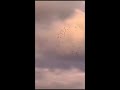 ومن ءايته الجوار في البحر كالاعلام ومن ءايته الجوار في البحر كالاعلام