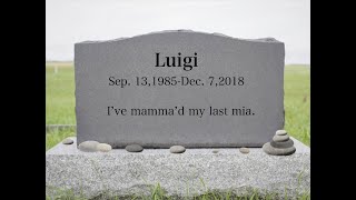 luigi dies