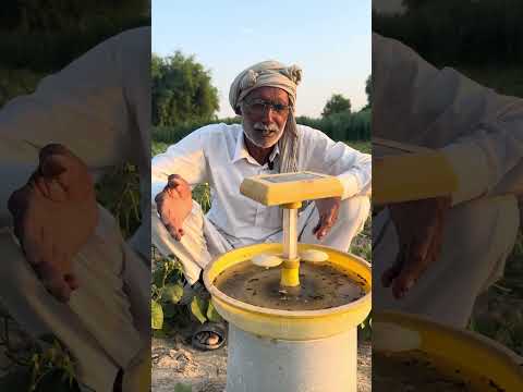 Pest ki roktham kaise karen | How to control pest | Light trap kaise lagayen 
