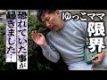 【納税しなきゃ】さようなら…
